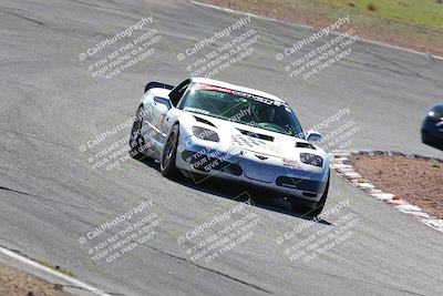 media/Feb-26-2023-Speed Ventures (Sun) [[7ac2dc7a13]]/1-SSC Spec vett race/session 1 turn 3/